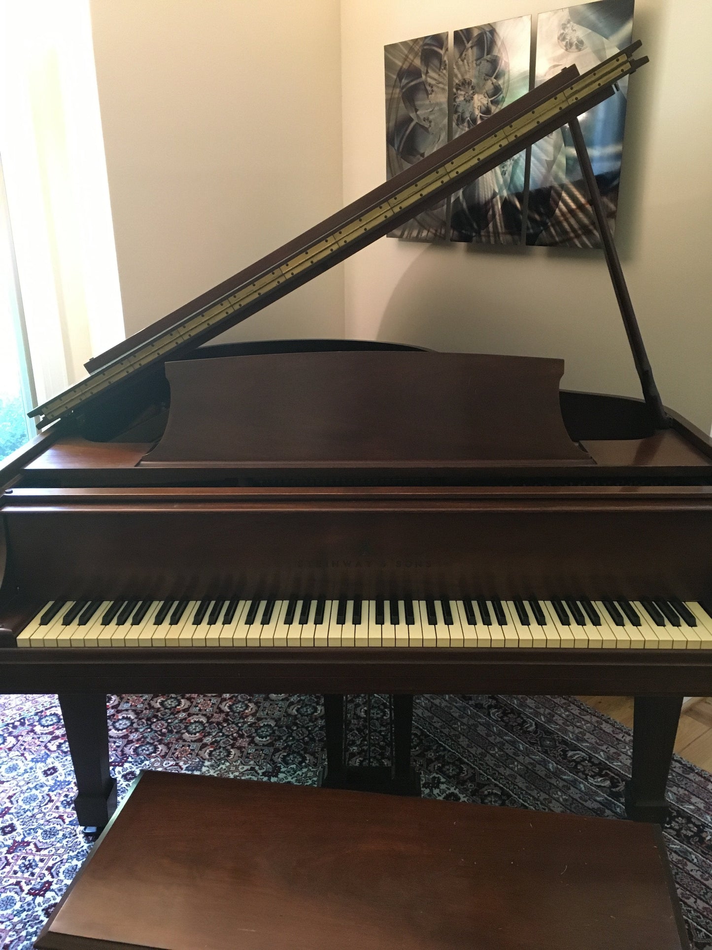 1970 Steinway Model M | Mahogany