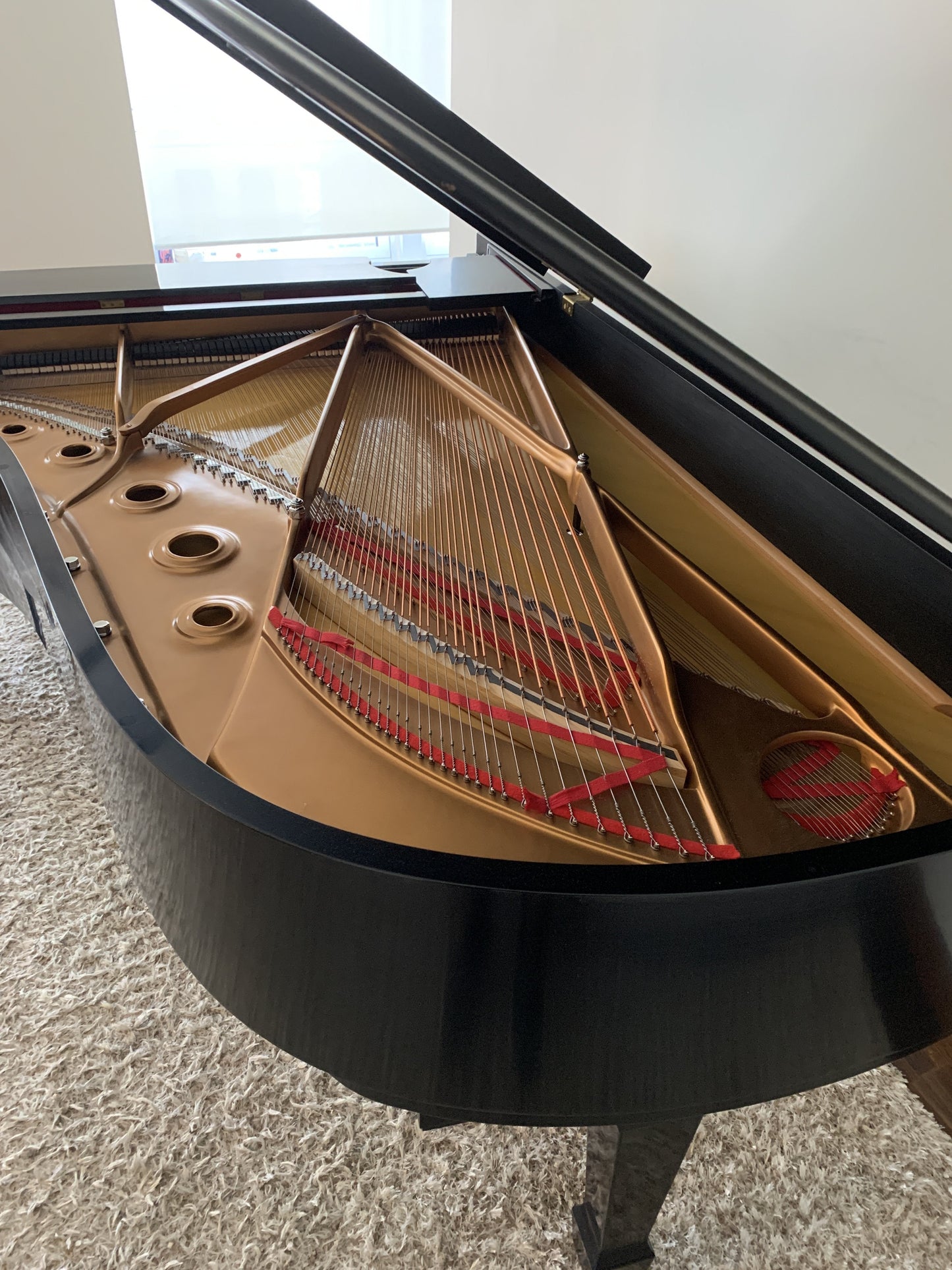 Used Steinway Model B Piano Anniversary Edition 2003, Purchased New in 2004