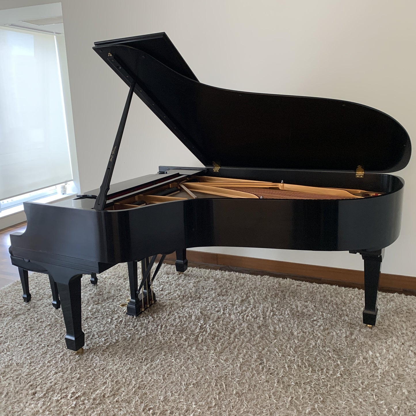 Used Steinway Model B Piano Anniversary Edition 2003, Purchased New in 2004