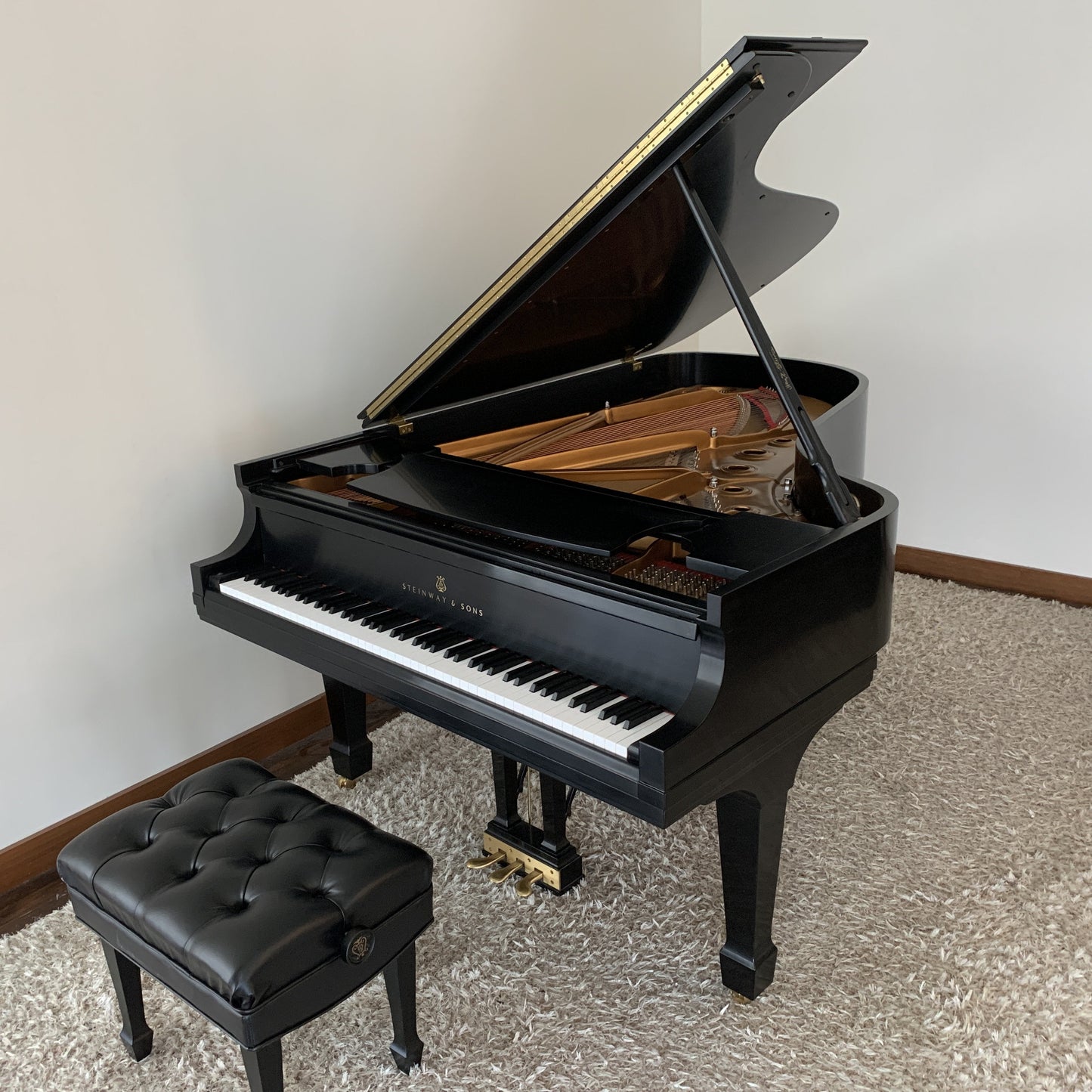 Used Steinway Model B Piano Anniversary Edition 2003, Purchased New in 2004
