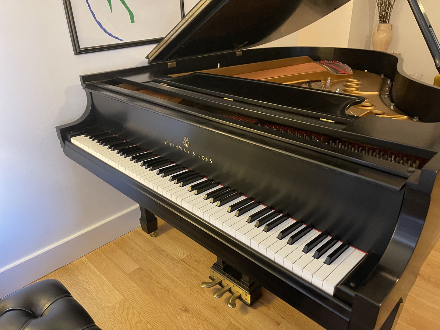 1994 Steinway Grand Piano Model M | Ebony