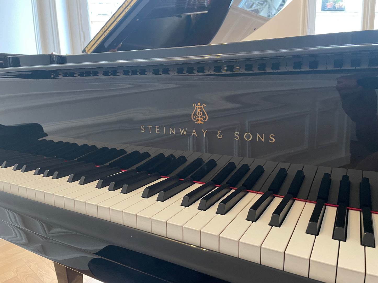 1995 Hamburg Steinway Model M Piano | High Gloss | Paris, France