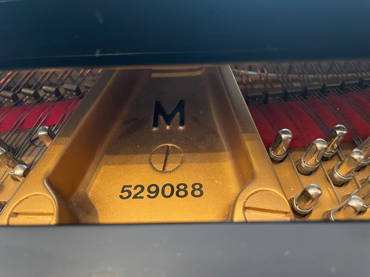 1995 Hamburg Steinway Model M Piano | High Gloss | Paris, France