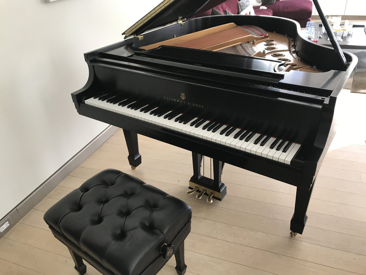 2005 Steinway Model M Grand Piano | Ebony