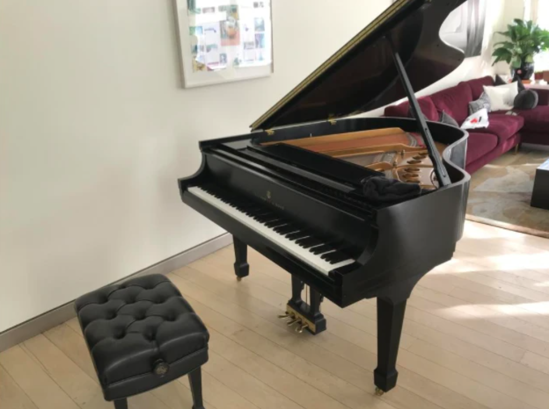 2002 Steinway Model M Grand Piano | Ebony