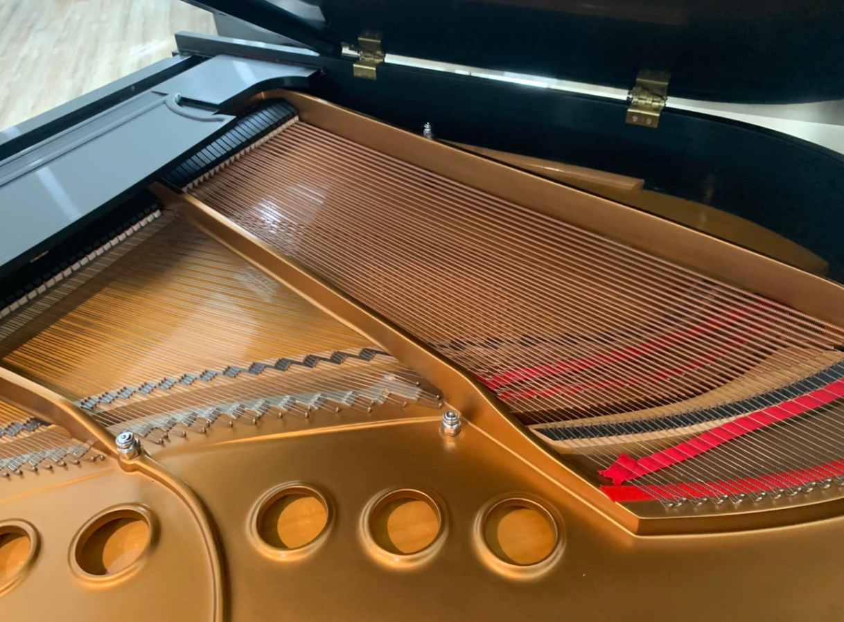 2005 Steinway Grand Piano Model M | Ebony