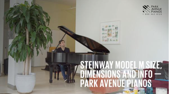 https://player.vimeo.com/video/489172796
