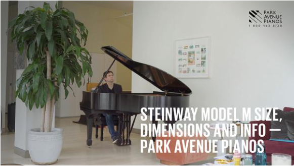 https://player.vimeo.com/video/281194786
