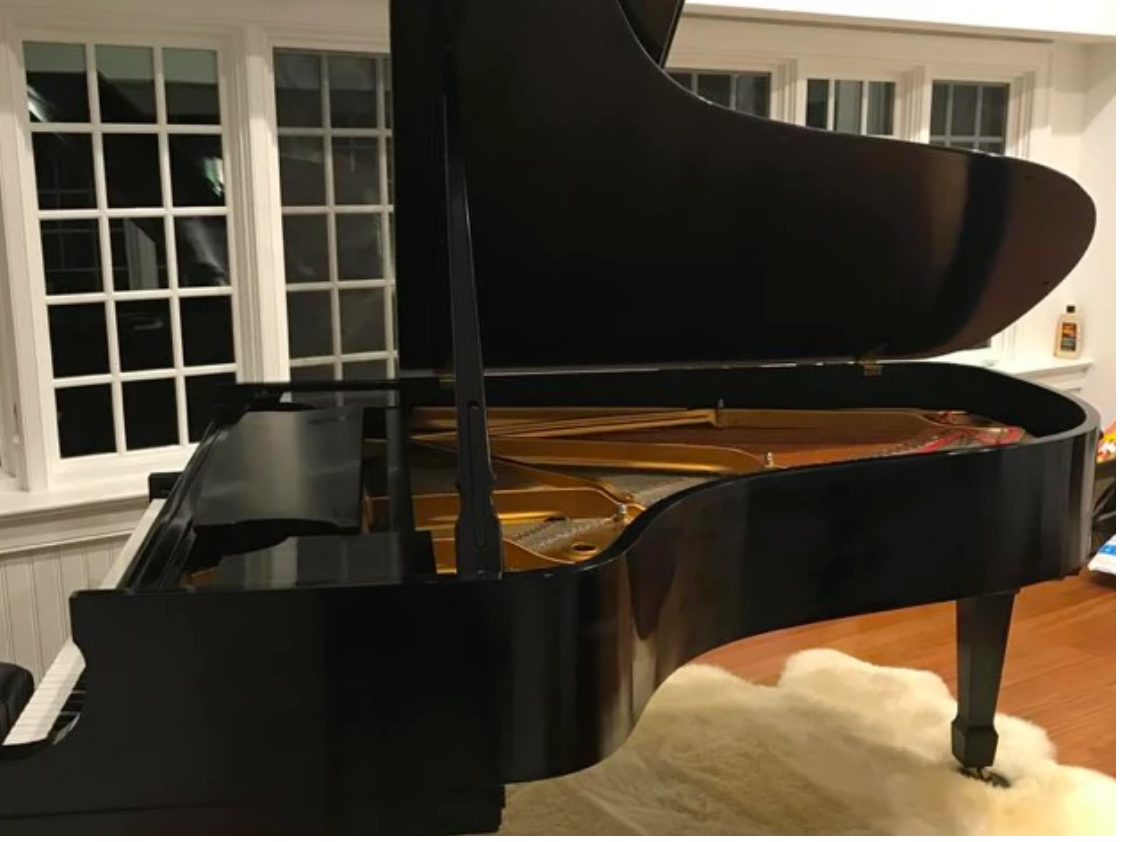 2008/2016 Steinway Model B Grand Piano in New York | Ebony