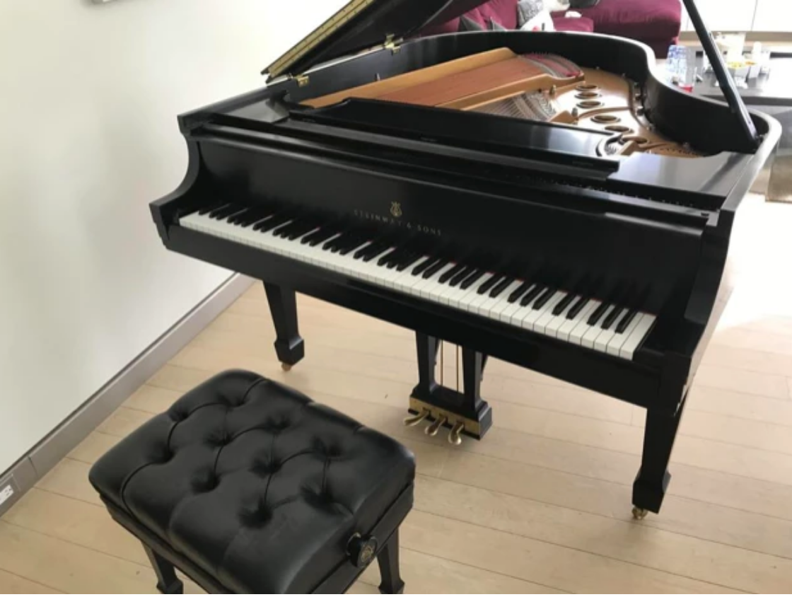 2003 Steinway Model M Grand Piano | Ebony