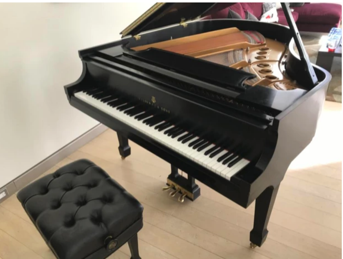 2003 Steinway Model M Grand Piano | Ebony