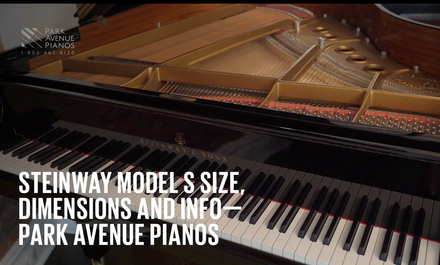 https://player.vimeo.com/video/489481426