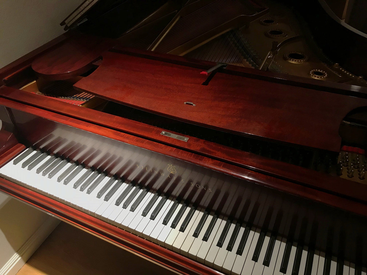 Steinway model A keys