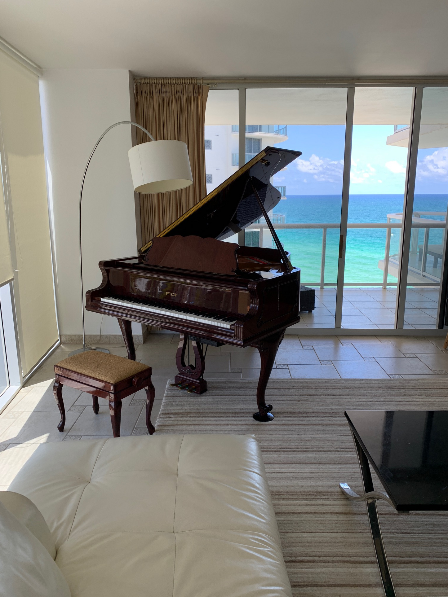 Petrof Baby Grand Model IV Chippendale | 2002 | Miami