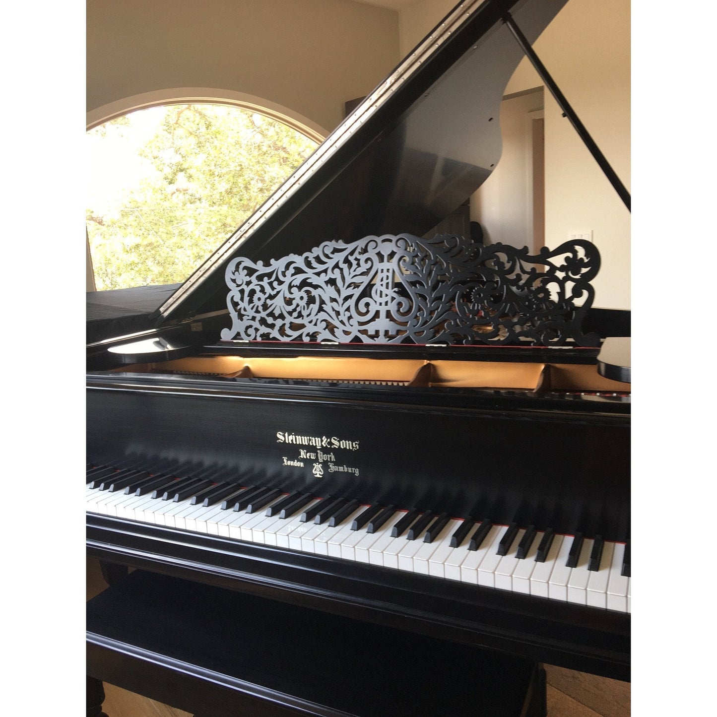 Steinway Model B Piano Henry Ziegler Limited Edition. - Steinwaygrand