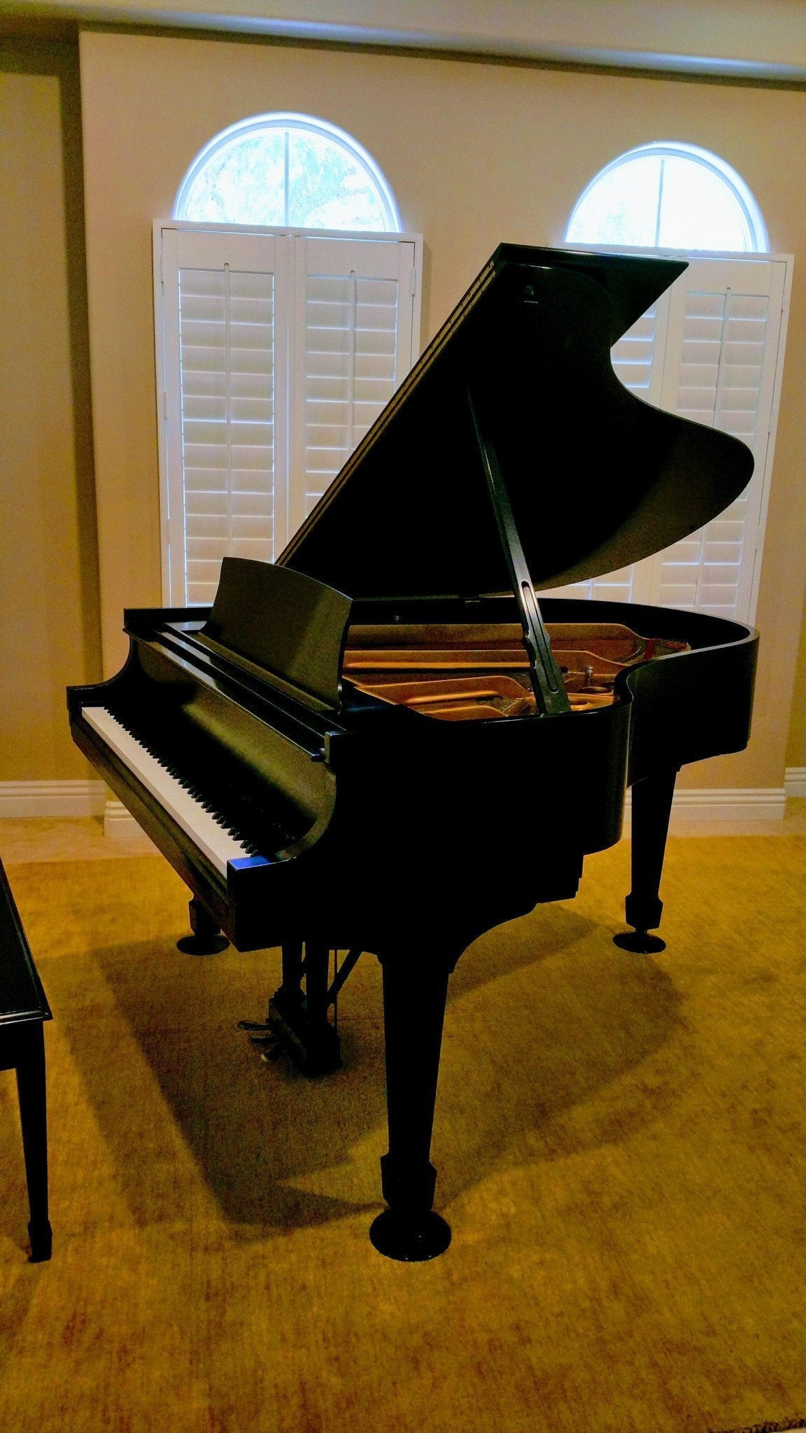 Steinway Model M 1997 (Pasadena, Los Angeles, CA) - Steinwaygrand