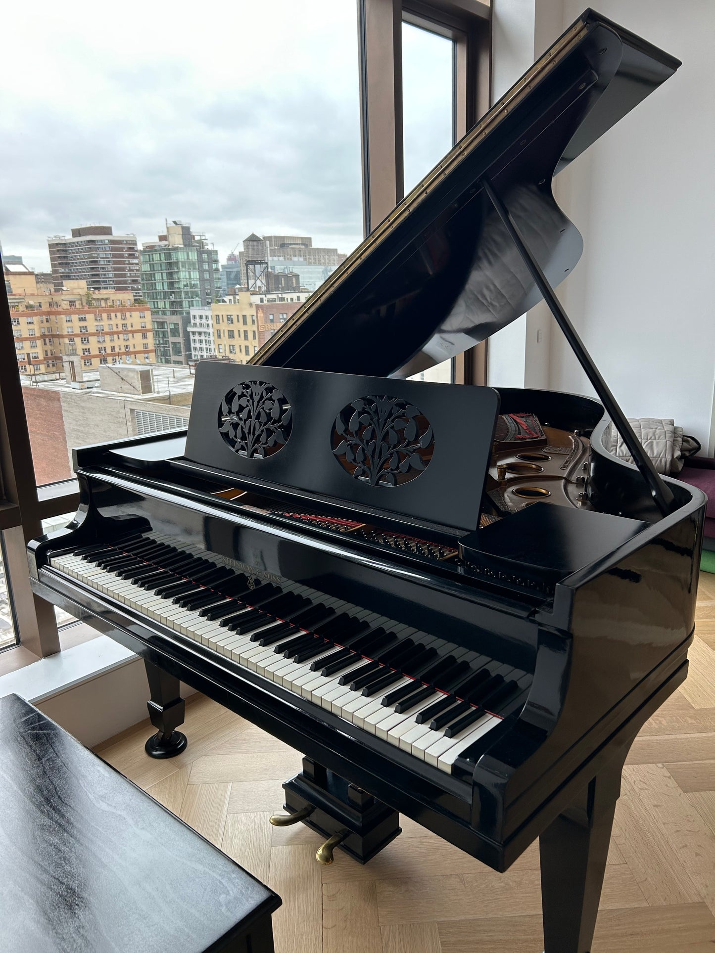 Hamburg Steinway Model O | Ebony