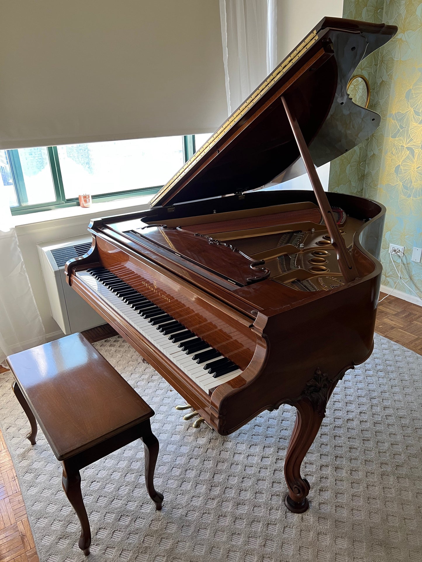 Steinway Model M Louis XV Piano | Sketch 501A | Walnut