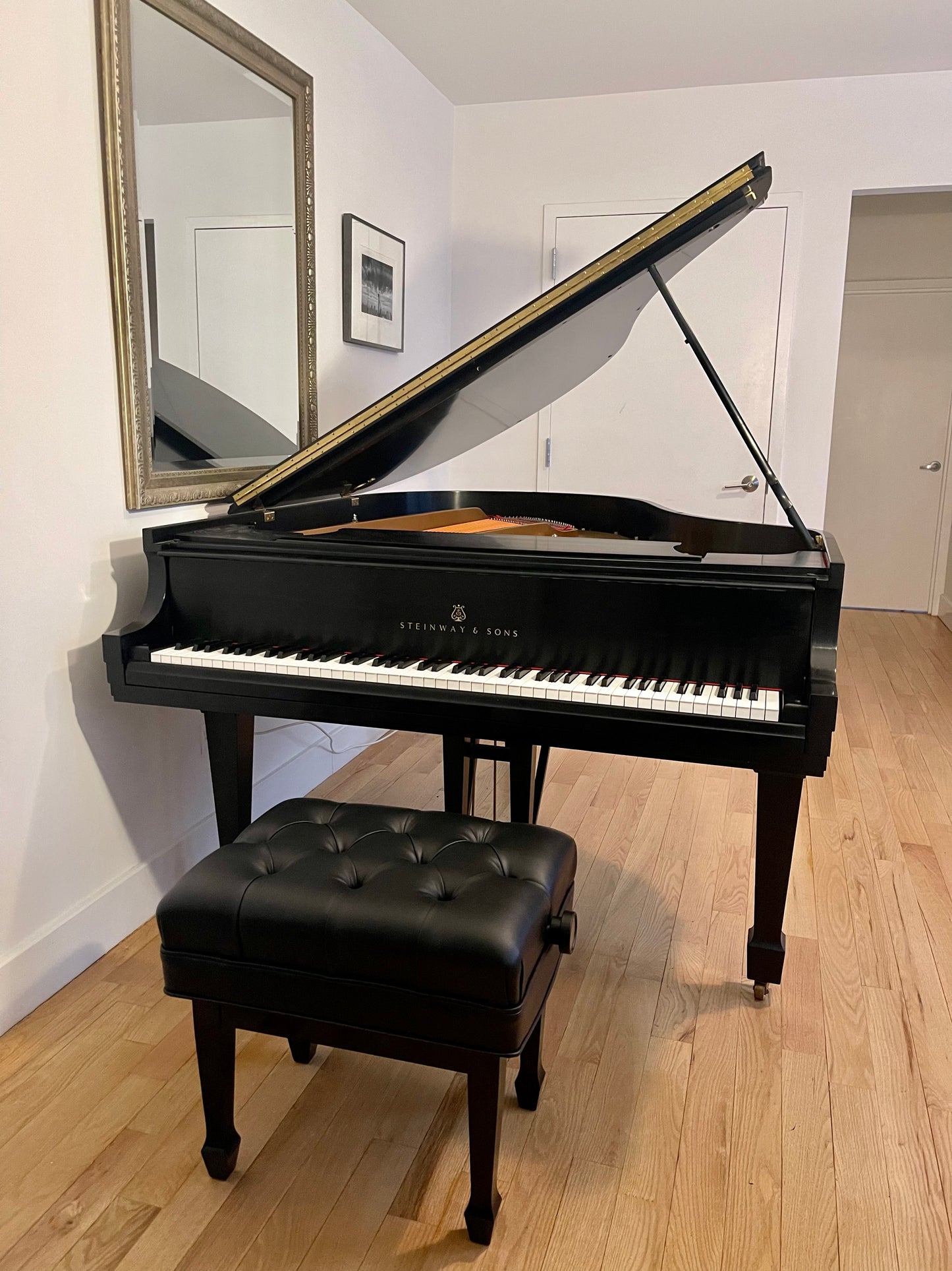1995 Steinway Grand Piano Model M | Ebony