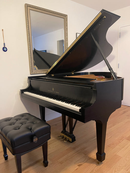 1995 Steinway Grand Piano Model M | Ebony