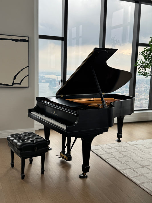 2003 Steinway Model B | Ebony