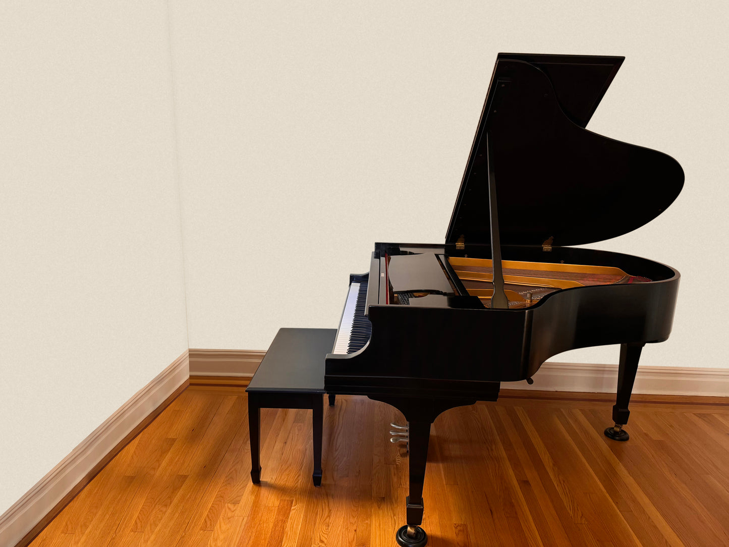 Steinway Model M | Ebony | 1968