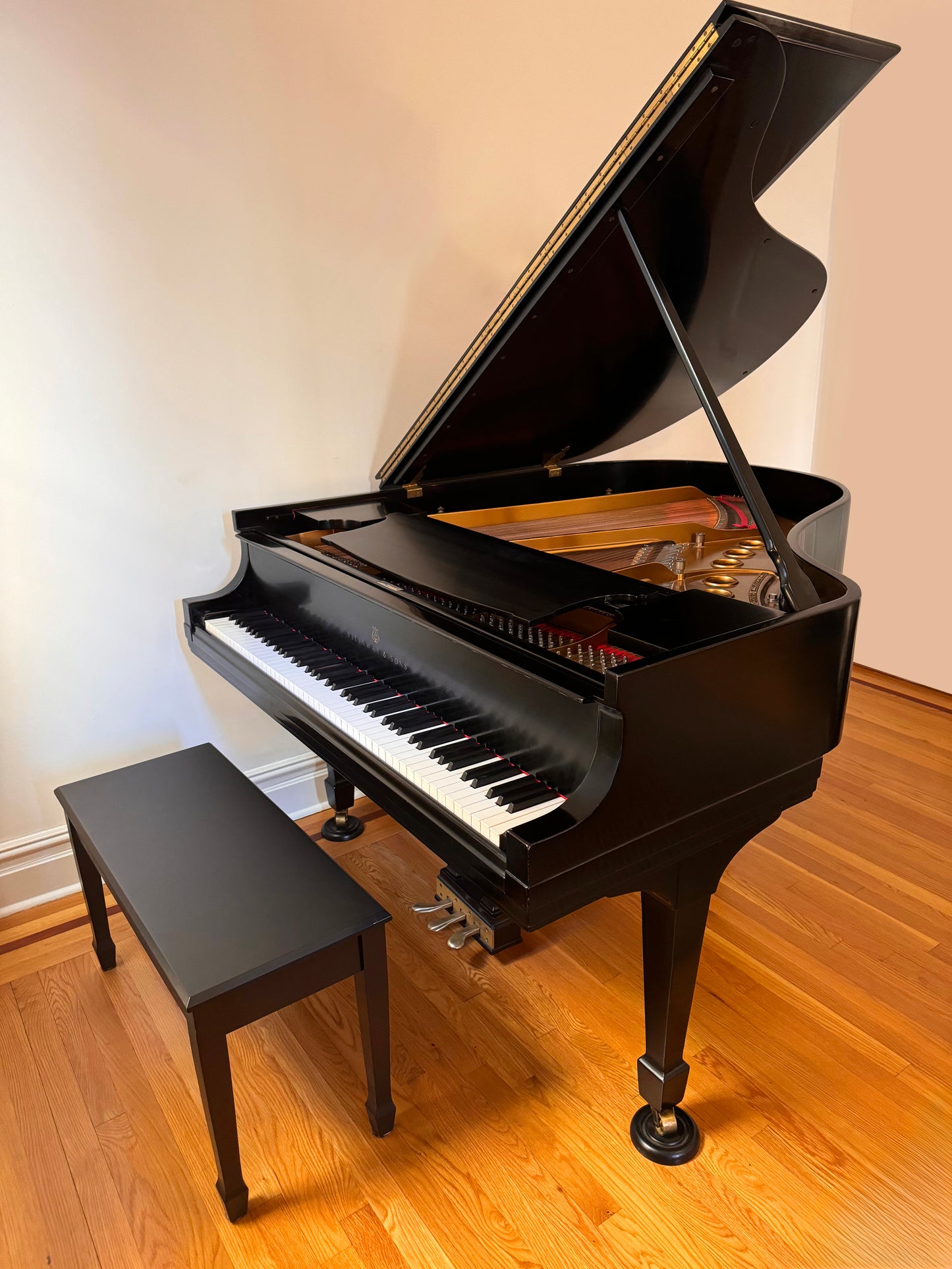 Steinway Model M | Ebony | 1968