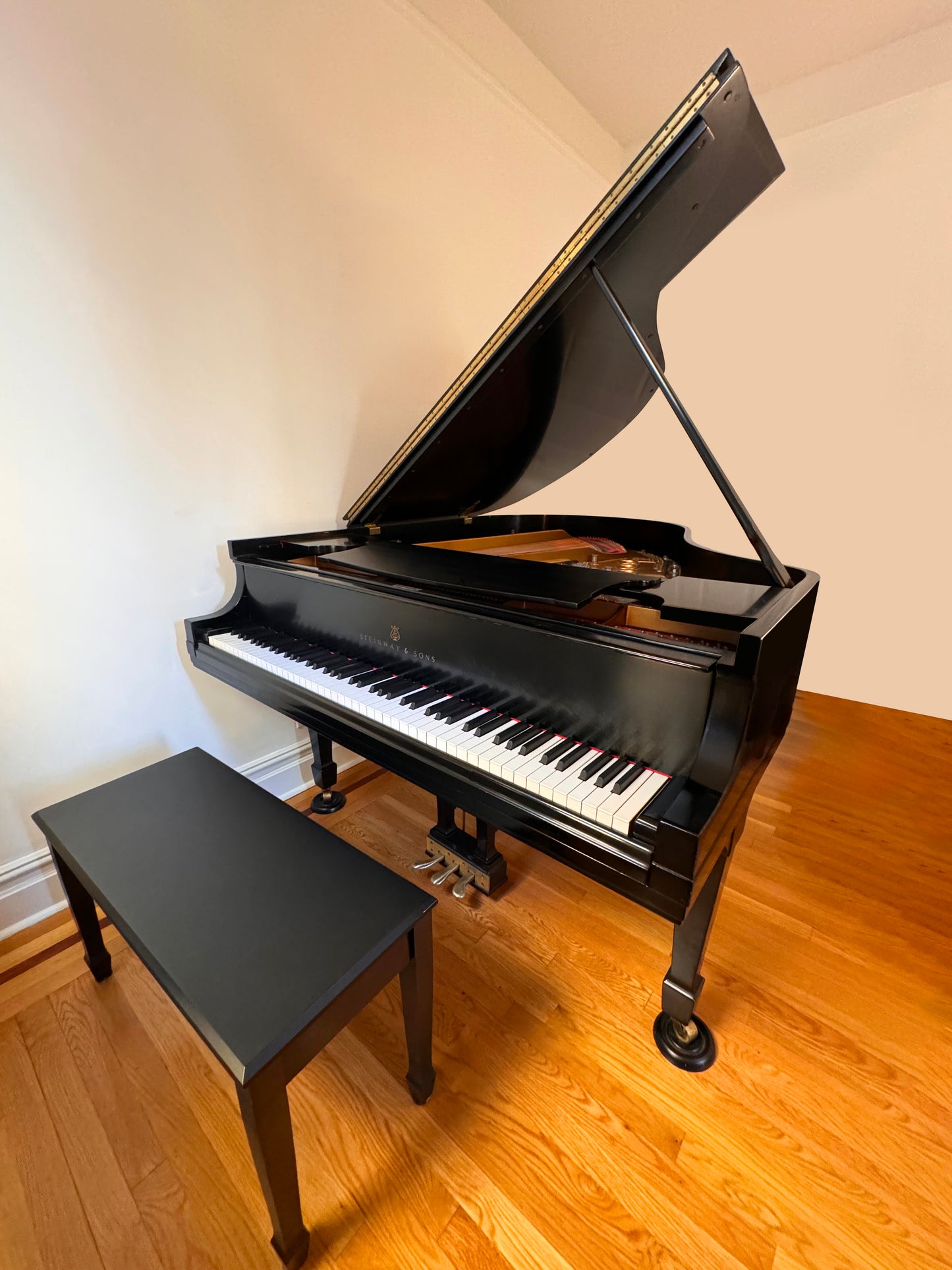 Steinway Model M | Ebony | 1968
