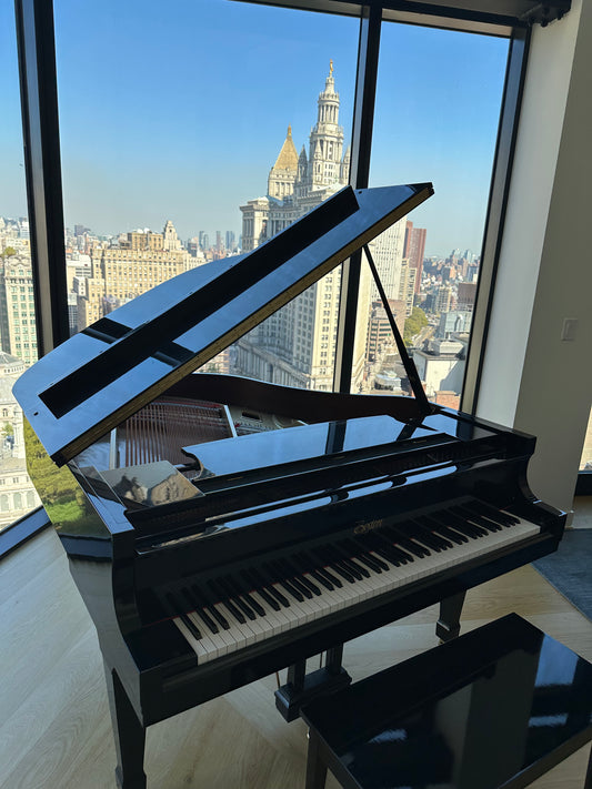 2000 Boston GP-156 Performance Edition II | High Gloss Ebony