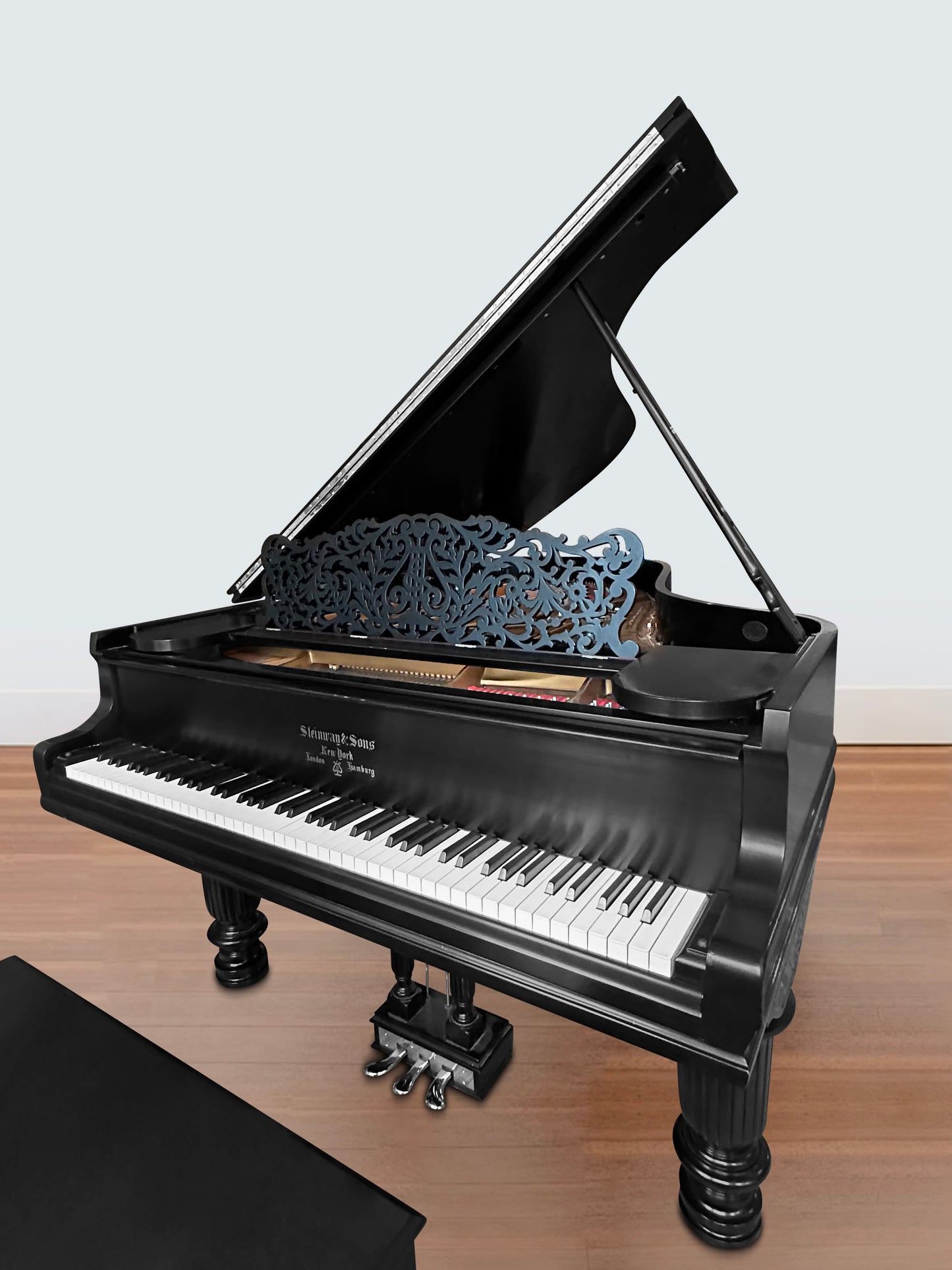 Steinway Model B | Henry Ziegler Limited Edition with Signature | 2003 (Purchased New in 2006)