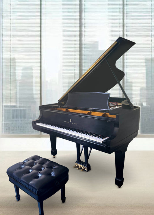 2005 Steinway Model M | Ebony