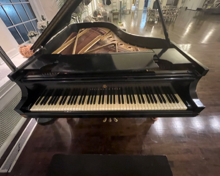 1964 Steinway B