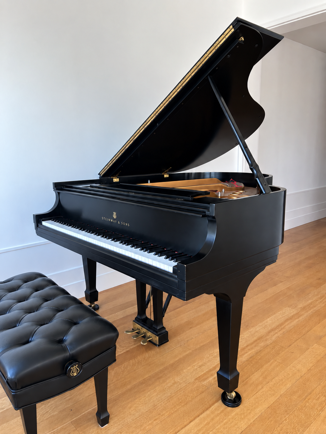 Steinway Model M | Ebony | 1995