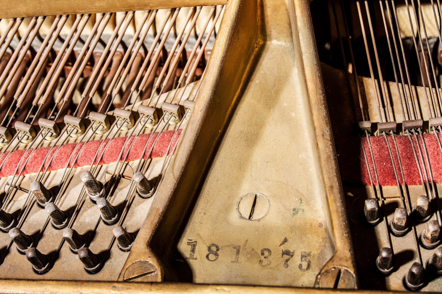 Steinway Model M Grand Piano 1919 | Brown