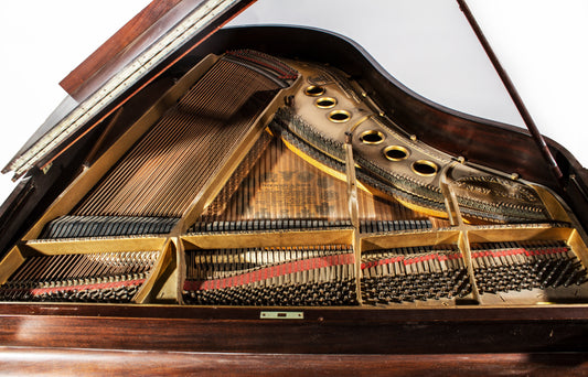 Steinway Model M Grand Piano 1919 | Brown