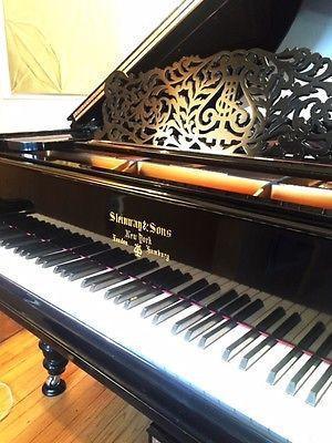 Steinway Model L Limited Collector`s Edition - Steinwaygrand
