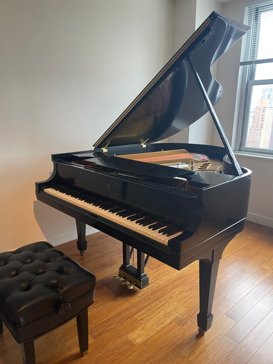 Steinway Grand Piano Restored Model M | Ebony