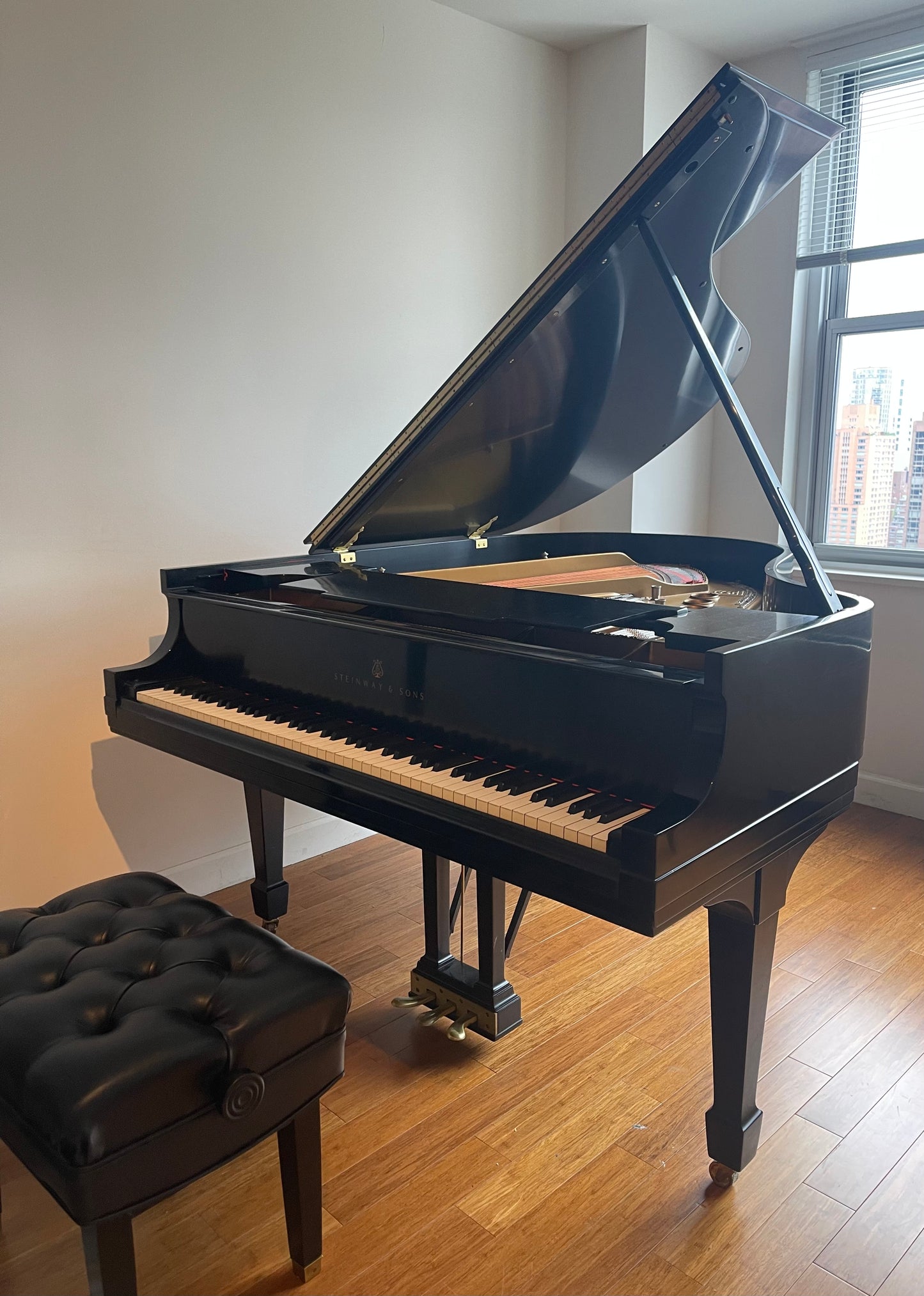 Steinway Grand Piano Restored Model M | Ebony