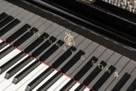 Steinway Model M Grand Piano | High Gloss ( Orange County, CA )