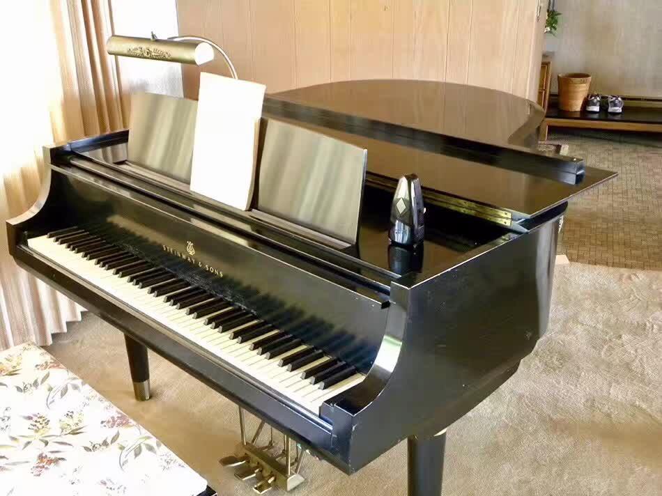 Steinway Teague Sketch 1111 Model M Grand Piano Special Edition | Ebony