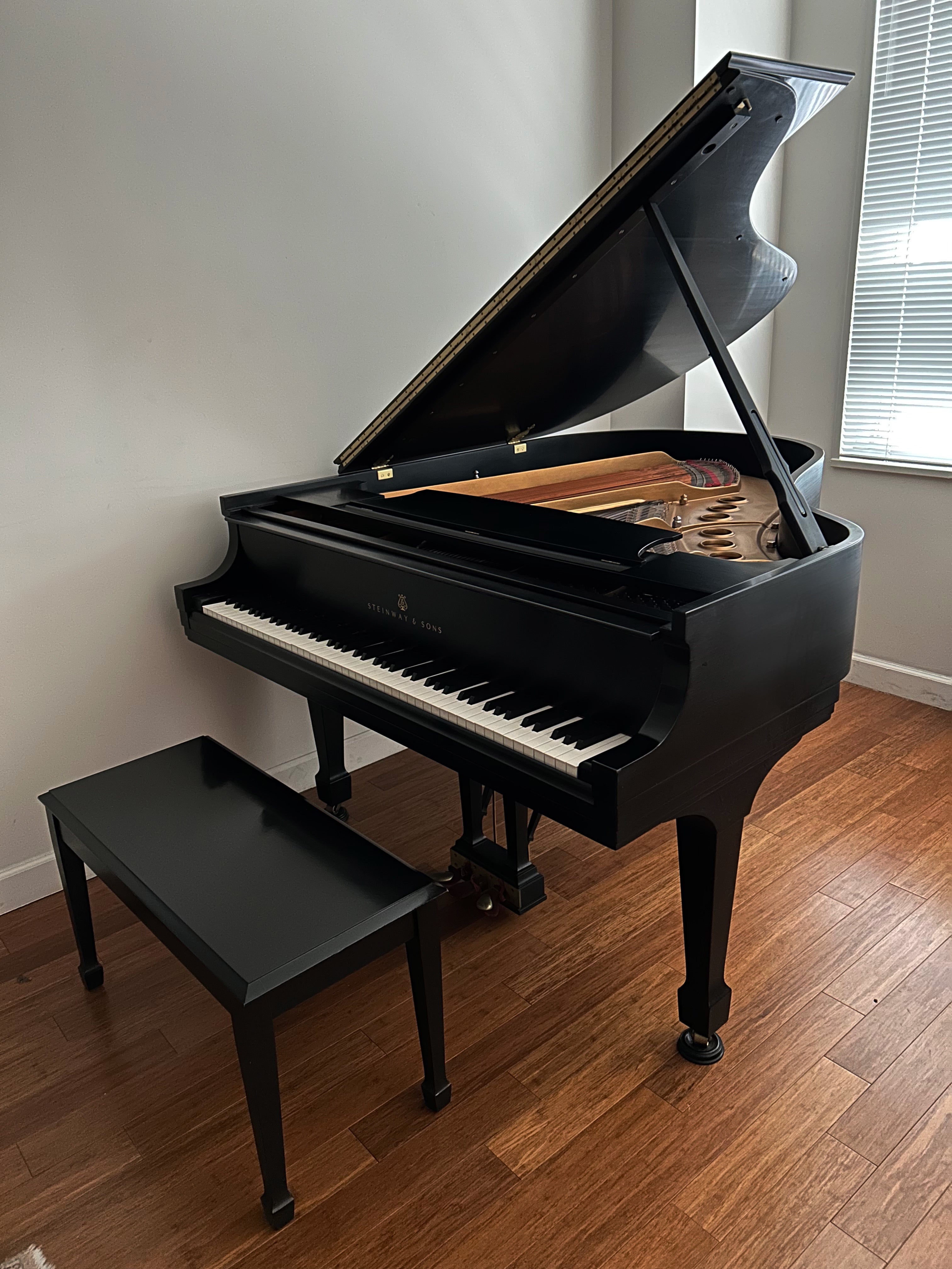 1985 Steinway Grand Piano Model M | Ebony – Park Avenue Pianos ...