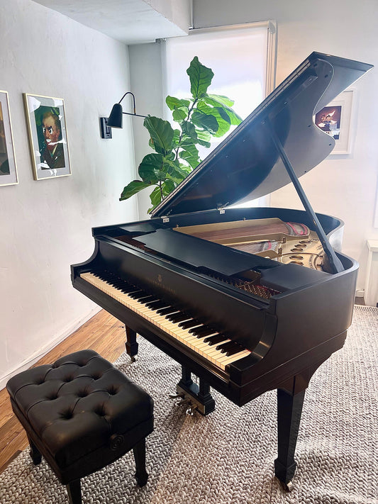 Steinway Grand Piano Model M | Ebony