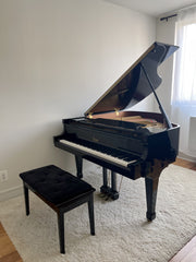 KYO　19＋20世紀スタインウェイ デカール Steinway A+B IMG_0456_1.jpg?v=1704838032