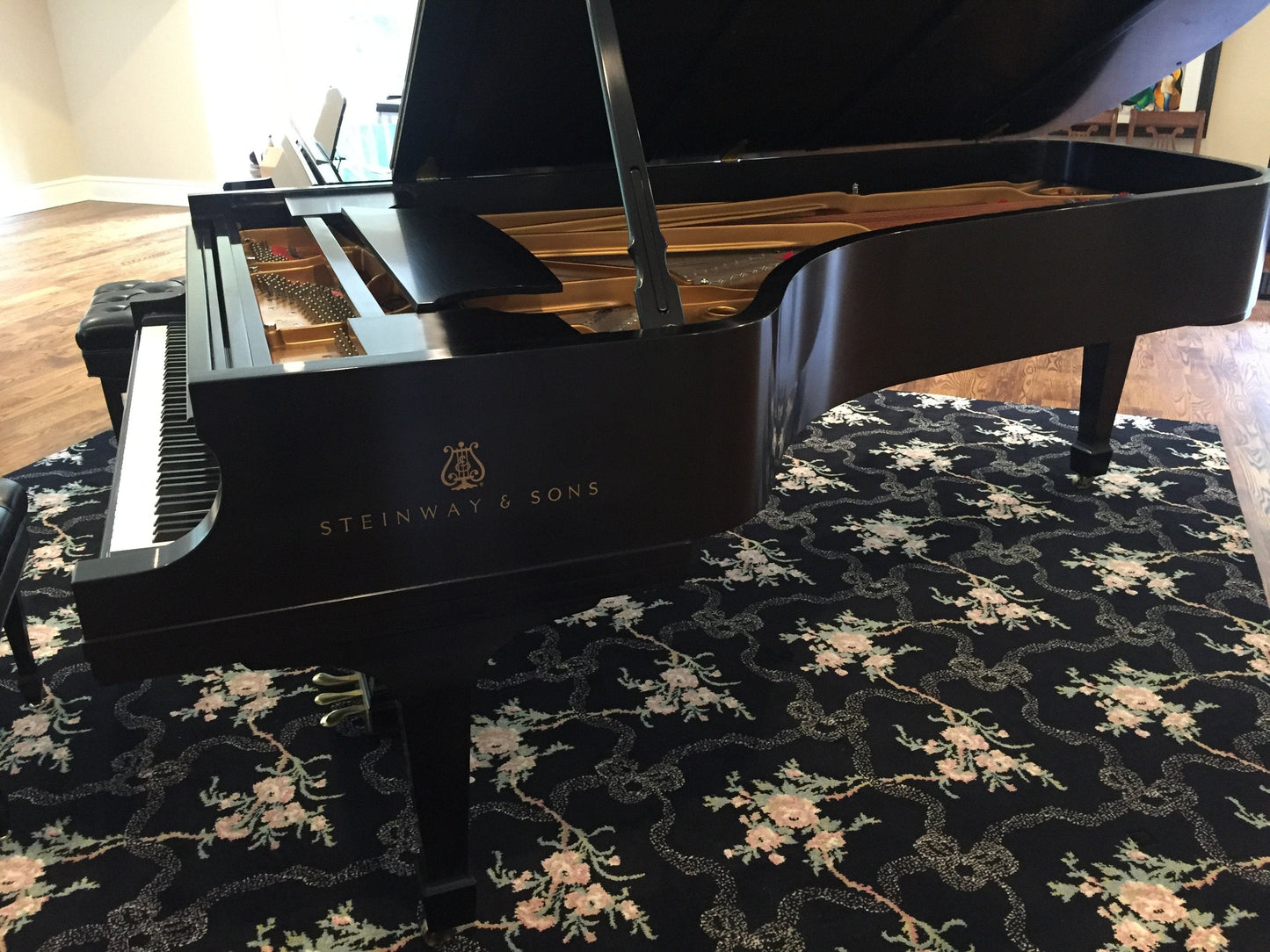 1995 Steinway Model D Concert Grand Piano | Ebony