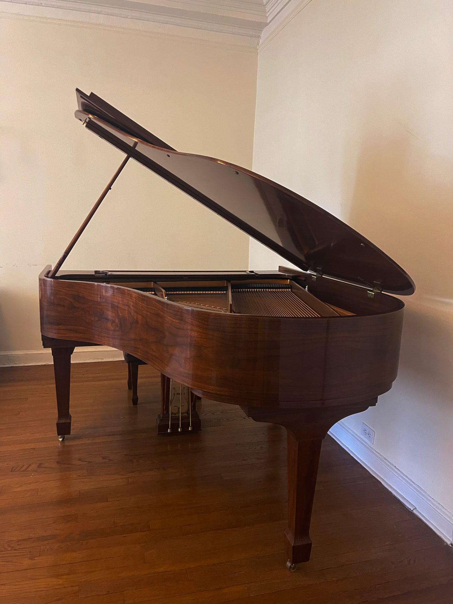 2000 Crown Jewel Steinway Grand Piano Model M | Walnut