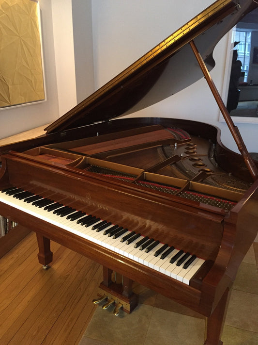 Steinway Model M 2000 - Steinwaygrand