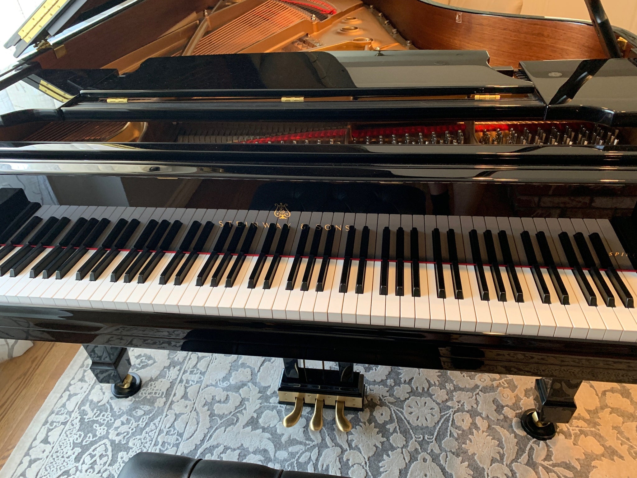 2018 Steinway Model B Spirio Grand Piano | Los Angeles – Park Avenue ...