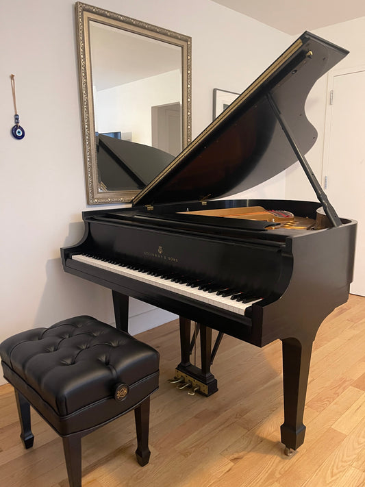 1990 Steinway Grand Piano Model M | Ebony