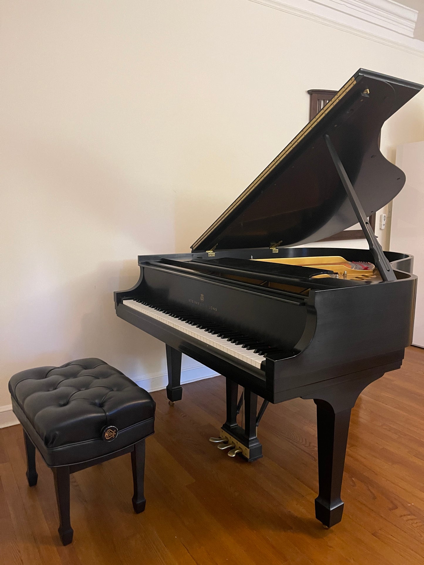 1993 Steinway Grand Piano Model M | Ebony
