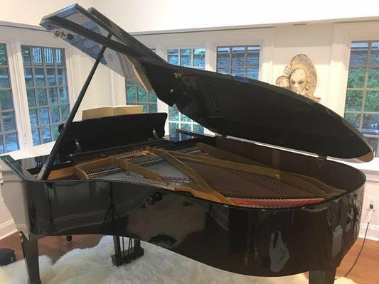 2003 Petrof Grand Piano | High Gloss Ebony